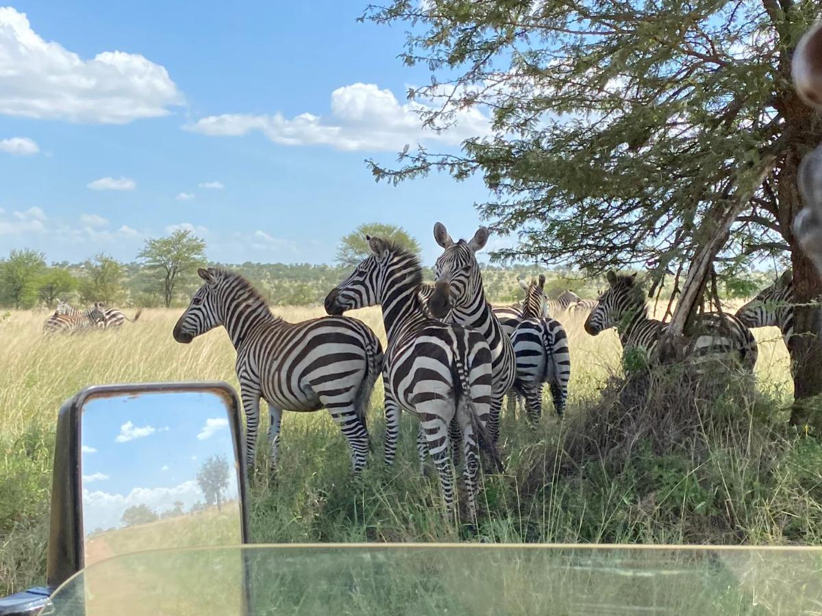 Foresight Eco Lodge & Safari Karatu Eksteriør bilde